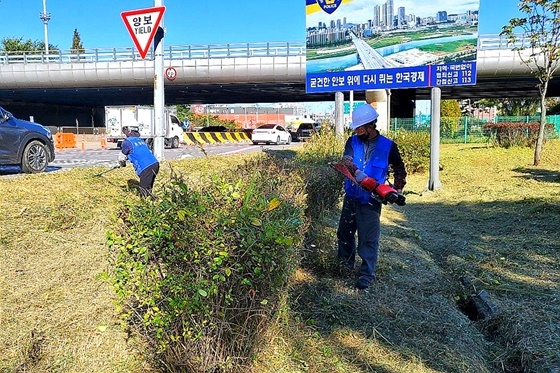 NSP통신-양천구 지역공동체일자리사업 중 도심 공원 관리중인 조경팀 모습 (양천구)