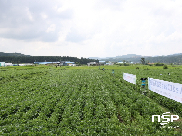 NSP통신-경주시는 식량자급률 향상과 쌀 수급 안정을 위해 올해 첫 전략작물직불제를 시행한다고 13일 밝혔다. (경주시)