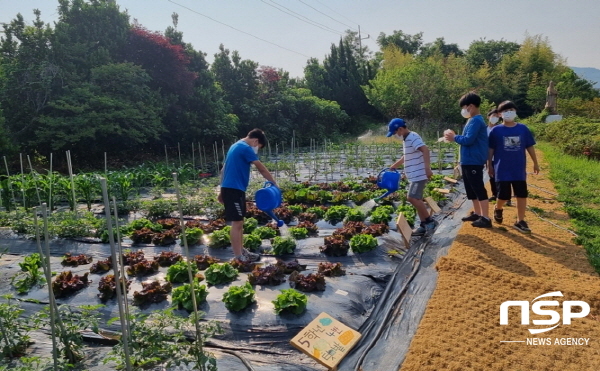 NSP통신-지난해 운영한 학교 도시농부 자투리텃밭 (여수시)