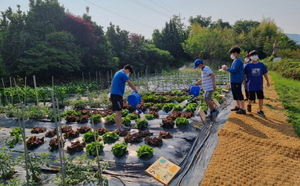 [NSP PHOTO]여수시, 학교 텃밭 운영 10개교 모집