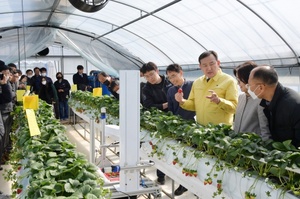 [NSP PHOTO]담양군, 자체 개발 딸기 죽향 로봇 수확 시연회 개최