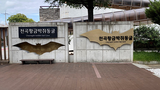NSP통신-동해시 천곡동굴 입구. (동해시)