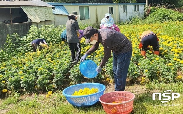 NSP통신-나주시가 지난 해 마련한 농촌에서 살아보기 체험활동. (나주시)