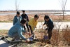 [NSP PHOTO]완주군, 만경강 제방길서 식목행사 개최