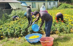 [NSP PHOTO]나주시,  오는 24일까지 농촌에서 살아보기 참가자 12명 모집