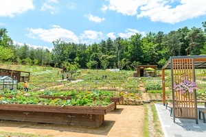 [NSP PHOTO]서울시 양천구, 도시농업 사업계획 본격 추진