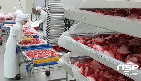 NSP통신- (나주시)