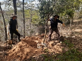 [NSP PHOTO]강진군, 보은산 체험·문화관광 시설 명품 숲길로 조성