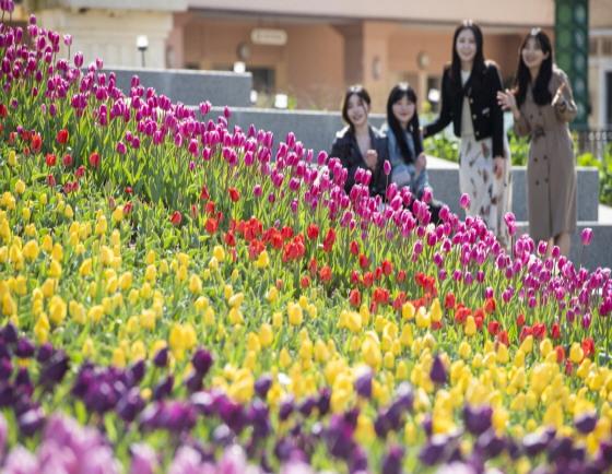 NSP통신-관람객들이 에버랜드 페어리 타운에 핀 봄꽃을 구경하고 있다 (사진 = 에버랜드)