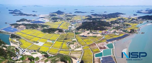 NSP통신- (사진 = 신안군)