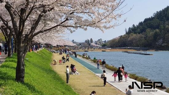 NSP통신- (사진 = 광양시 서천변 벚꽃)