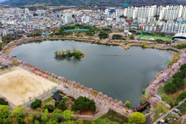 NSP통신-만석거 둘레로 벚꽃이 핀 만석공원. (사진 = 수원시)