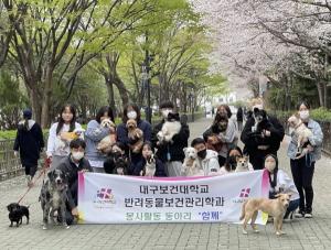 [NSP PHOTO]대구보건대 반려동물보건관리학과, 유기견 산책 봉사활동 펼쳐