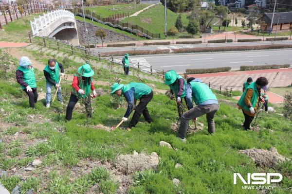 NSP통신-여수시새마을회가 이순신 공원서 애기동백 나무심기 행사를 진행하고 있다. (사진 = 새마을회)