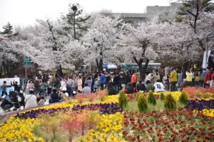 [NSP PHOTO]4년만에 열리는 경기도청 봄꽃축제…경제활성화 기회 제공