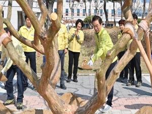 [NSP PHOTO]경북교육청, 기후 위기 극복 식목 행사 가져