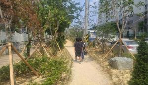 [NSP PHOTO]포항시, 산림청 자녀안심 그린숲 조성사업 2년 연속 선정