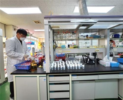 NSP통신- (사진 = 장흥군)