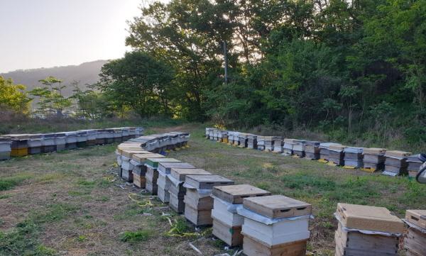 NSP통신-꿀벌 사육 피해 농가 전경[사진=고흥군]
