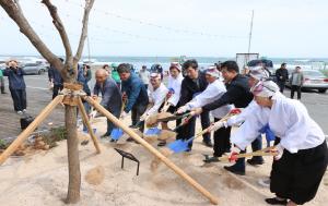 [NSP PHOTO]포항시, 호미반도 국가해양정원 성공 기원 해녀정원 나무심기 행사 개최