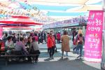 [NSP PHOTO][가볼까]강진군, 오는 22일 제7회 마량놀토수산시장 개장