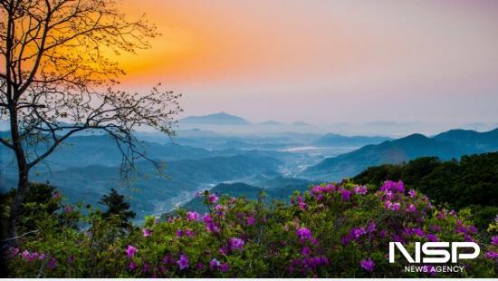 NSP통신-철쭉이 만개한 백운산 국사봉 (사진 = 광양시청)
