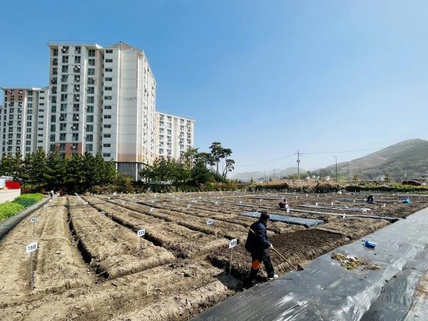 NSP통신- (사진 = 장성군)