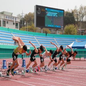 [NSP PHOTO]예천군, 춘계 전국 초·중·고 육상경기대회 개최