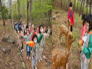 [NSP PHOTO]보성 제암산 자연휴양림, 유아 숲 체험 프로그램 운영