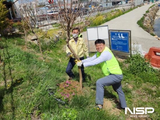 NSP통신-중마동주민자치위원회 식목일 기념 배롱나무 심기 (사진 = 광양시청)