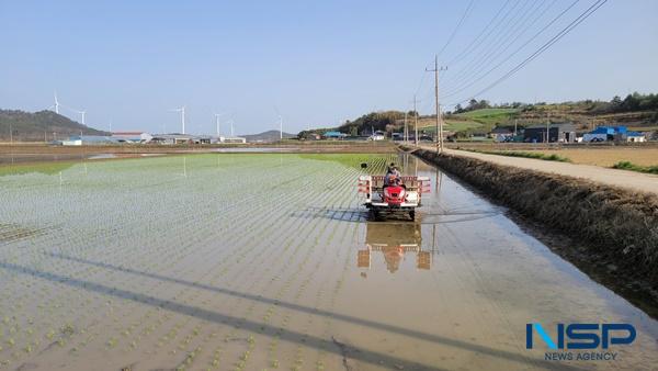 NSP통신- (사진 = 신안군)