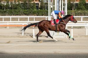 [NSP PHOTO]한국마사회 위너스맨 제21회 헤럴드경제배 우승