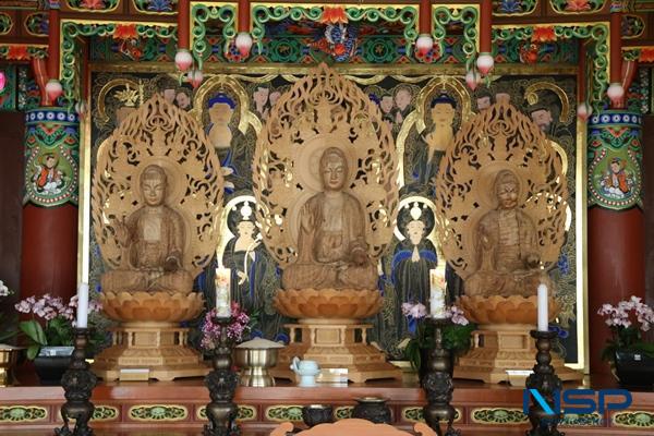 NSP통신- (사진 = 완도군)