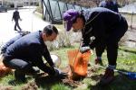 [NSP PHOTO]강원랜드, 식목의 달 맞아 리조트 단지 내 자작나무 500여 그루 식수