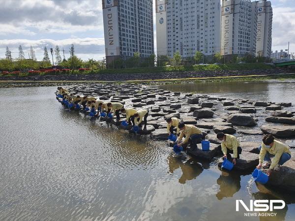 NSP통신-은어 7만 마리 방류 (사진 = 광양시청)