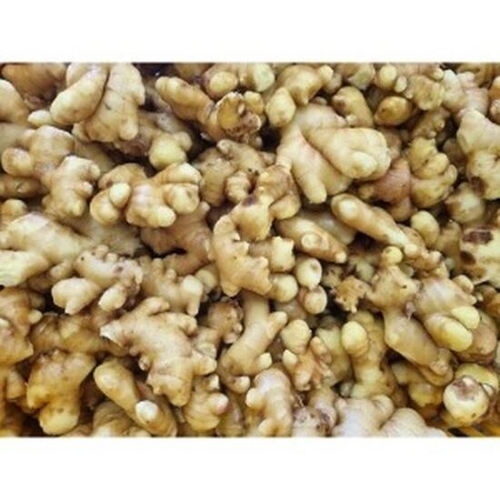 NSP통신-종자용 생강 (사진 = 광양시청)