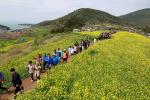 [NSP PHOTO]완도군, 청산도 슬로걷기 축제 성황 2주 만에 30000여 명 다녀가