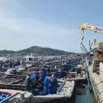 [NSP PHOTO]해남군, 2023년산 물김 722억원으로 위판 종료