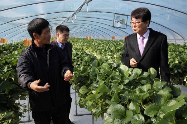 NSP통신- (사진 = 장흥군)