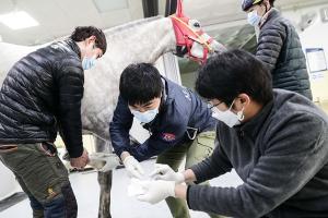 [NSP PHOTO]한국마사회, 부상 경주마 재활 지원 프로그램 확대 시행