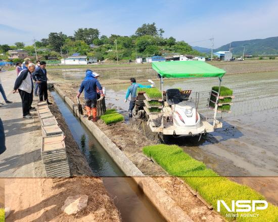 NSP통신-고품질 쌀 생산 위해 모내기 (사진 = 광양시청)