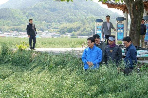 NSP통신-강진원 군수가 집중호우로 도복 피해를 입은 쌀귀리 농가를 찾아 현장을 살펴보고 있다. (사진 = 강진군)