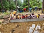 [NSP PHOTO]장흥군, 정남진 편백숲 우드랜드  유아숲 프로그램 인기