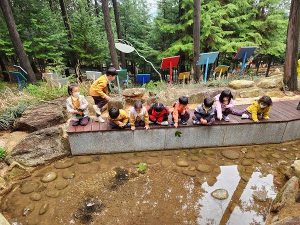 NSP통신- (사진 = 장흥군)