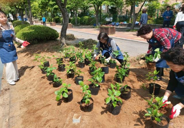 NSP통신-9일 조원초등학교 녹지대에 정원을 조성하고 있다. (사진 = 수원시)