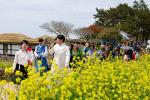 [NSP PHOTO]완도군, 청산도 슬로걷기 축제에 8만 명 다녀가 성황