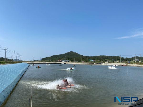 NSP통신-신안군 축제식 새우양식장에서 입식 후 수차를 가동하고 있다. (사진 = 신안군)