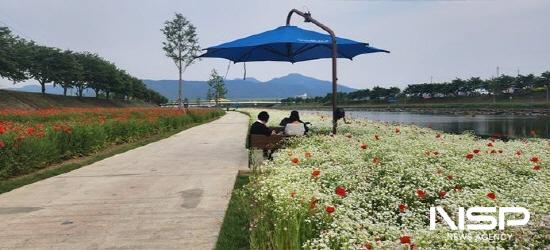 NSP통신-광양 서천꽃길 (사진 = 광양시청)