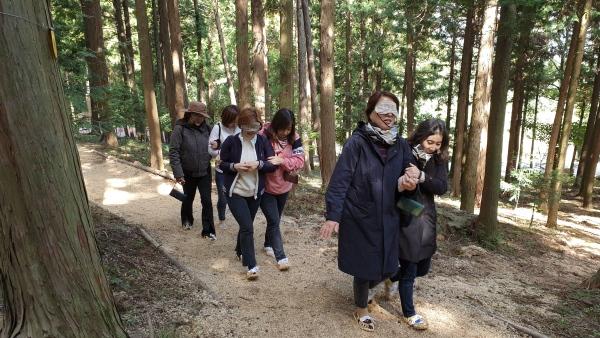 NSP통신- (사진 = 장흥군)