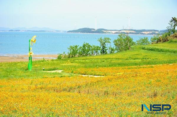 NSP통신- (사진 = 신안군)